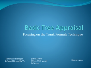 Basic Tree Appraisal