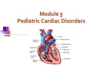 Module 5 Pediatric Cardiac Disorders