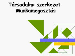 Társadalmi szerkezet 	Munkamegosztás