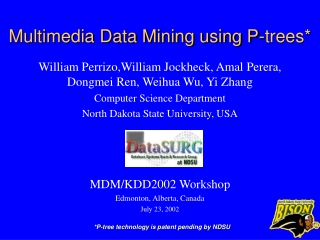 Multimedia Data Mining using P-trees*