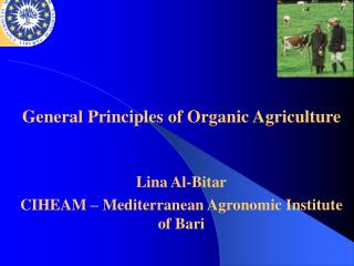 Lina Al-Bitar CIHEAM – Mediterranean Agronomic Institute of Bari