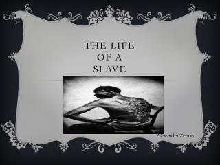 The life of a slave