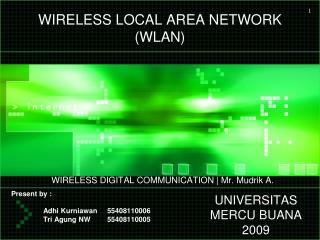 WIRELESS LOCAL AREA NETWORK (WLAN)