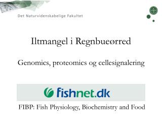 Iltmangel i Regnbueørred Genomics, proteomics og cellesignalering