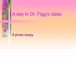 A day in Dr. Figg’s class