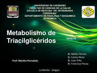 Prof: Martha Pernalete