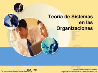 Teoría de Sistemas en las Organizaciones