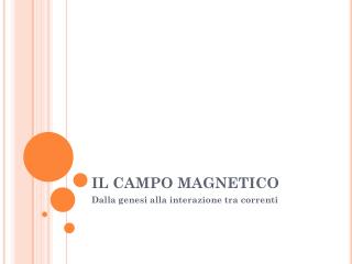 IL CAMPO MAGNETICO