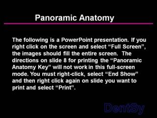 panoramic anatomy