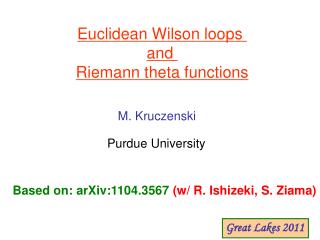 Euclidean Wilson loops and Riemann theta functions