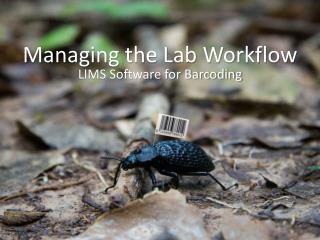 Managing the Lab Workflow