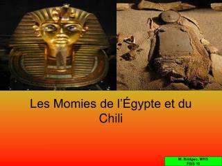 Les Momies de l’Égypte et du Chili