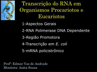 Transcrição do RNA em Organismos Procariotos e Eucariotos