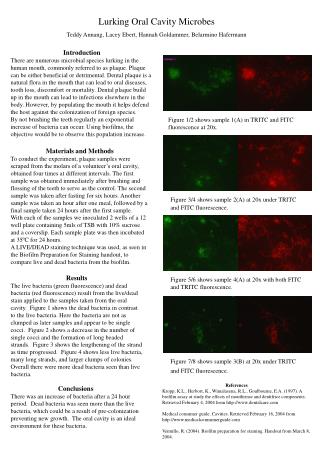 Lurking Oral Cavity Microbes Teddy Annang, Lacey Ebert, Hannah Goldammer, Belarmino Hafermann