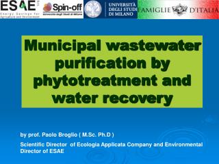 Municipal wastewater purification by phytotreatment and water recovery