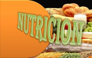 NUTRICION