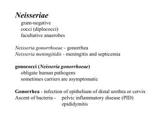 Neisseriae 	gram-negative 	cocci (diplococci) 	facultative anaerobes