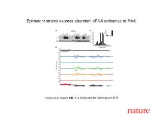 S Calo et al. Nature 000 , 1-4 (2014) doi:10.1038/nature13575