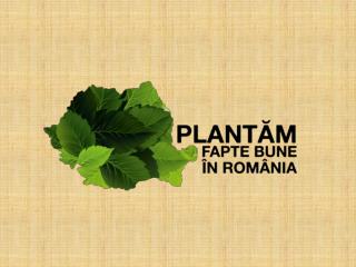 Suntem o miscare sociala. Plantam, crestem si protejam paduri. In Romania .