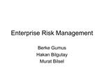 Enterprise Risk Management