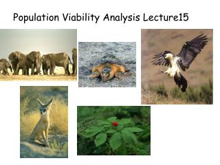 Population Viability Analysis Lecture15
