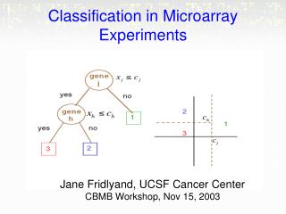 Classification in Microarray Experiments