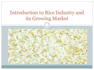 Non Basmati Rice- Manufacturer, Exporter, Supplier