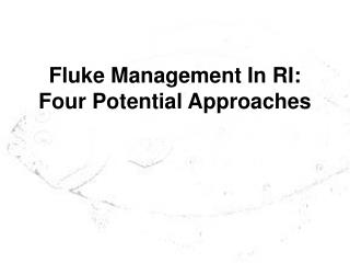 Fluke Management In RI: Four Potential Approaches