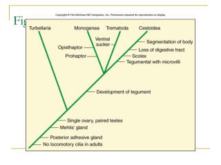 Figure 10.24