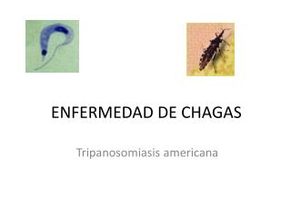 ENFERMEDAD DE CHAGAS