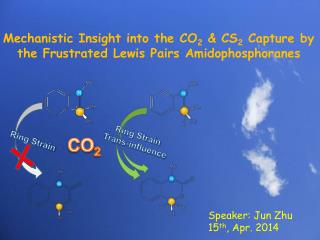 Mechanistic Insight into the CO 2 &amp; CS 2 Capture by the Frustrated Lewis Pairs Amidophosphoranes