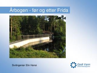 Årbogen - før og etter Frida