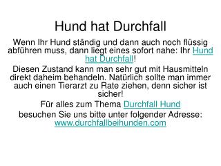 Durchfall Hund