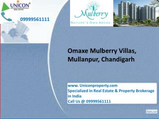 Omaxe mulberry villa Chandigarh