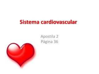 Sistema cardiovascular