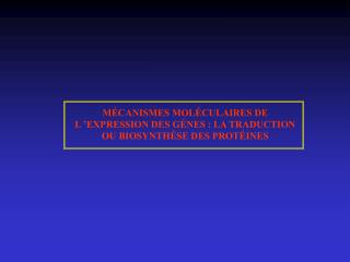 MÉCANISMES MOLÉCULAIRES DE L ’EXPRESSION DES GÉNES : LA TRADUCTION OU BIOSYNTHÈSE DES PROTÉINES