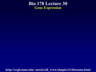 Bio 178 Lecture 30