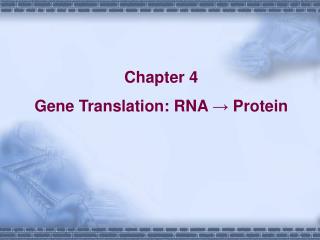 Chapter 4 Gene Translation: RNA → Protein