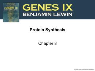 Protein Synthesis