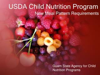 USDA Child Nutrition Program