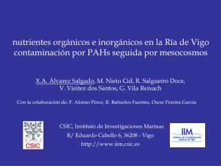nutrientes orgánicos e inorgánicos en la Ría de Vigo contaminación por PAHs seguida por mesocosmos