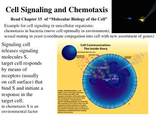 Cell Signaling and Chemotaxis