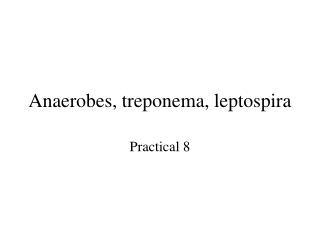 Anaerobes, treponema, leptospira