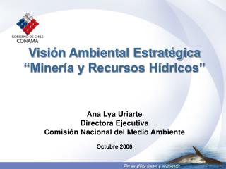 Visión Ambiental Estratégica “Minería y Recursos Hídricos” Ana Lya Uriarte Directora Ejecutiva