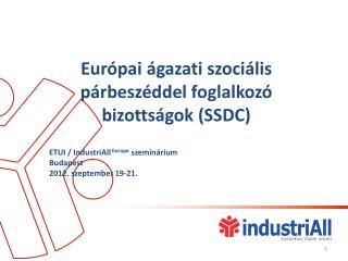 Európai ágazati szociális párbeszéddel foglalkozó bizottságok (SSDC)