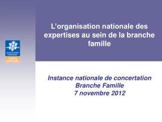 L’organisation nationale des expertises au sein de la branche famille