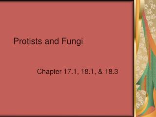 Protists and Fungi