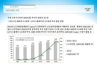 국내 고부가가치의 AMOLED 투자가 앞당겨 질 것 !