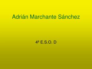 Adrián Marchante Sánchez