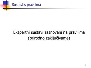 Sustavi s pravilima